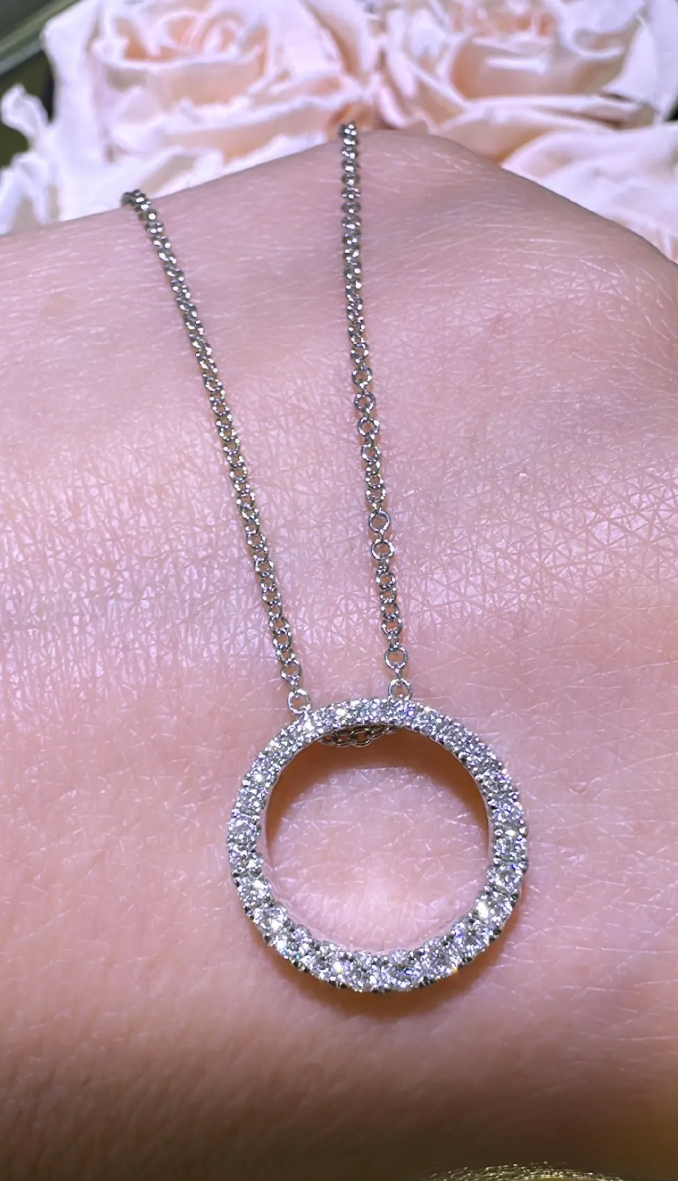 0.36ct tw Diamond Circle of Life Pendant Necklace
