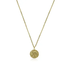 14K Yellow Gold Lexington Hammered Disc Necklace
