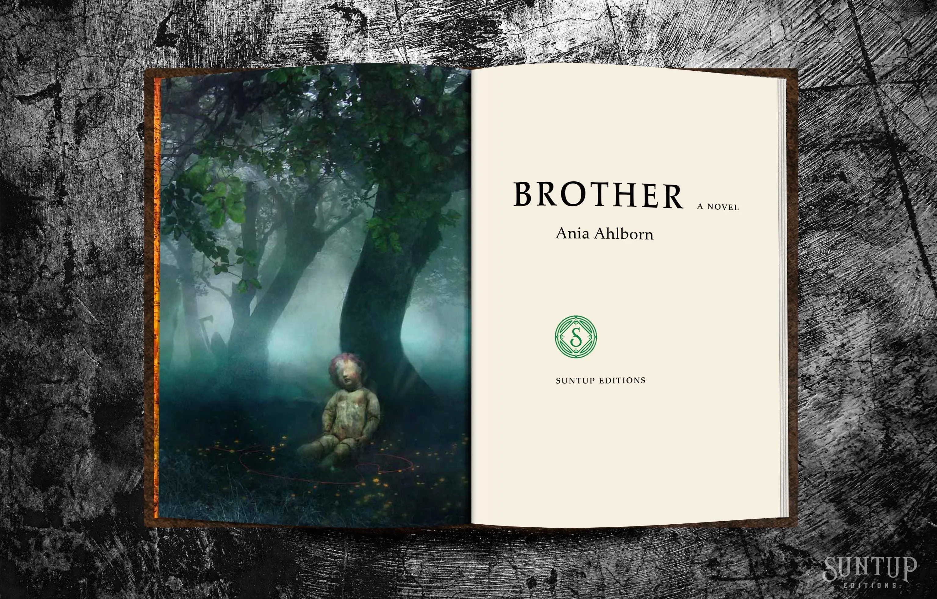 Brother by Ania Ahlborn - Lettered Edition