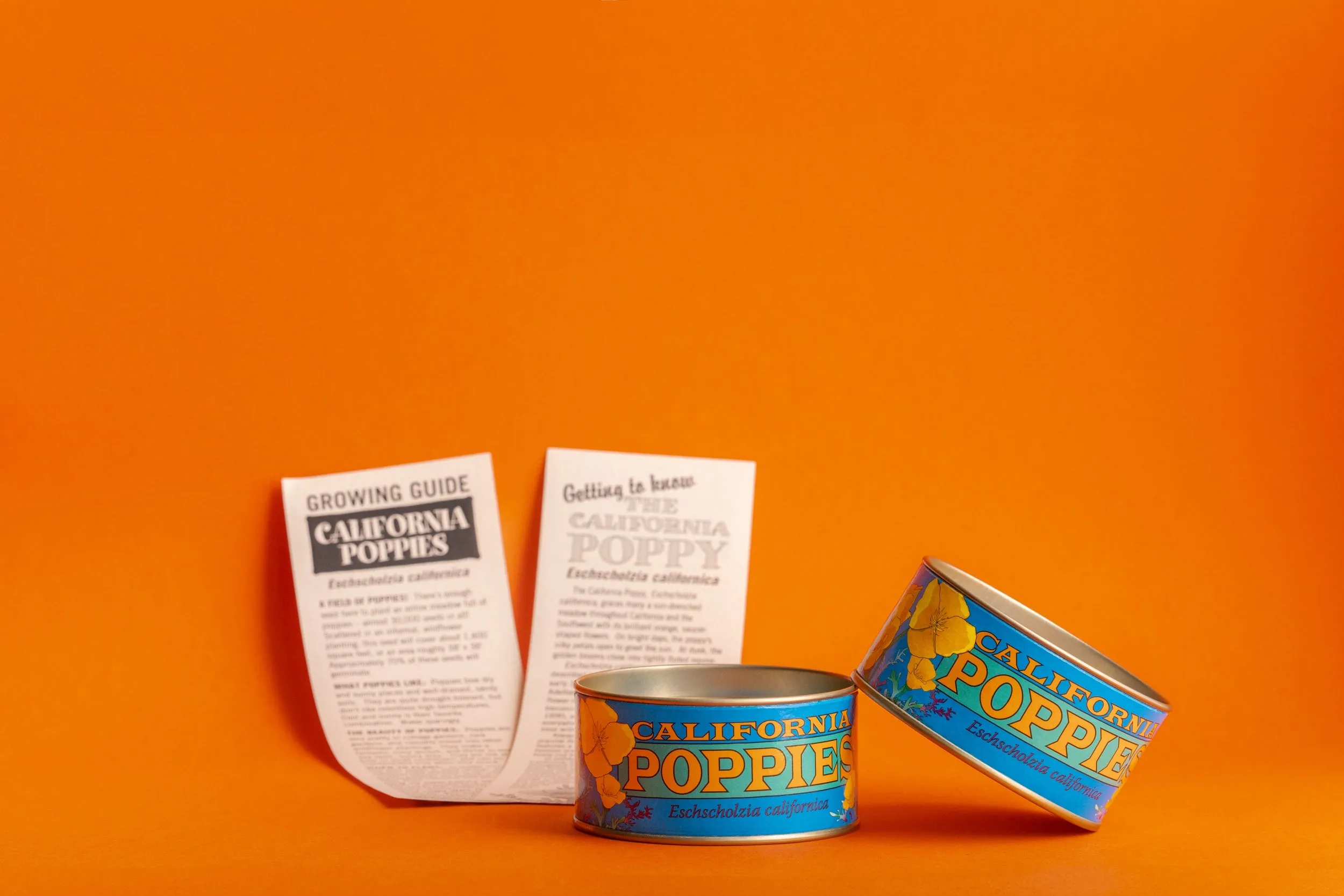 California Poppy Seed Grow Kit