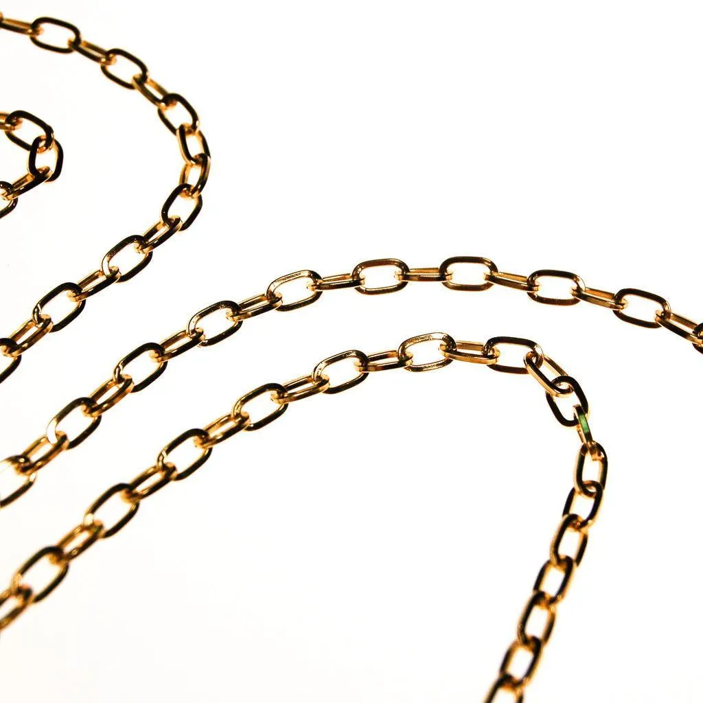Diane von Furstenberg Coral Lucite and Gold Chain Lariat