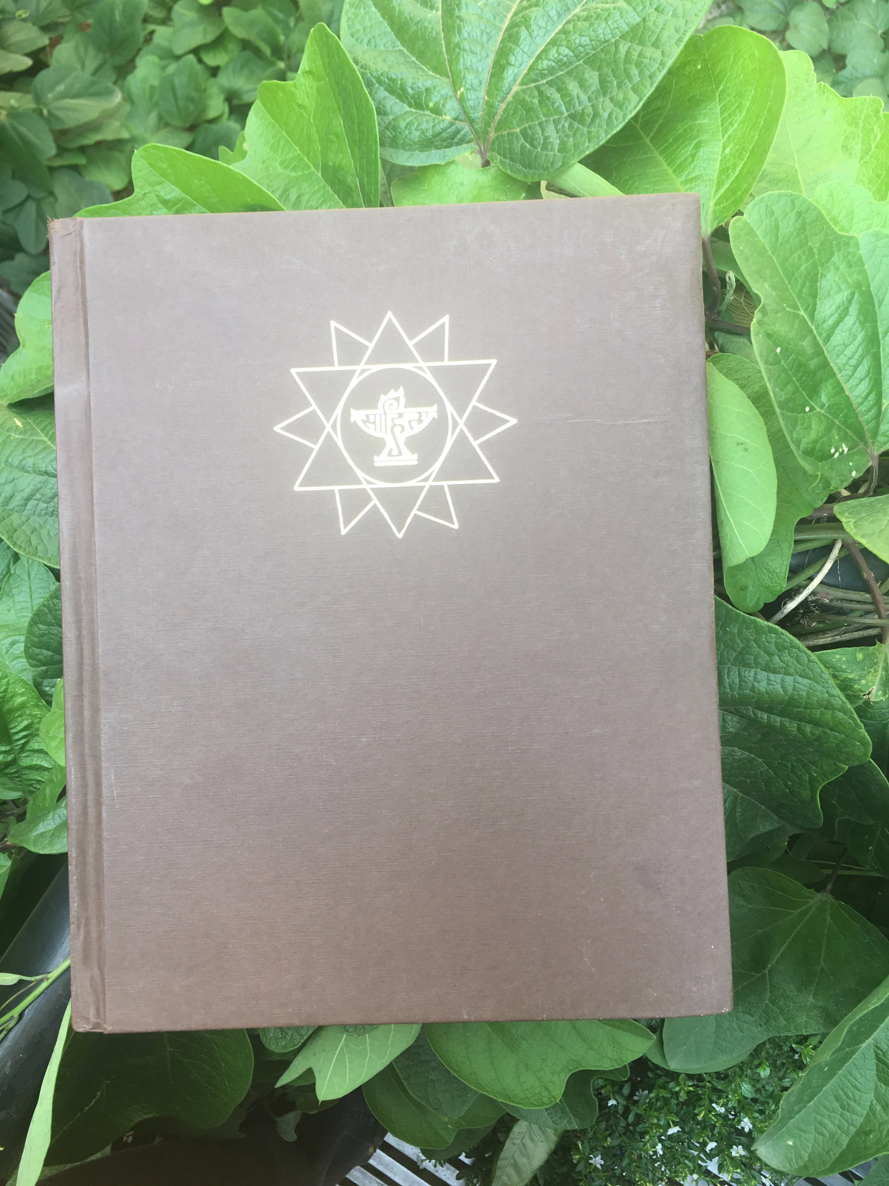 Encyclopaedia of Indian Literature: Vol 4