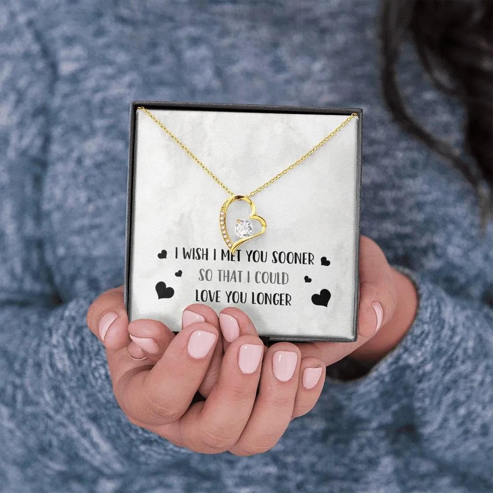 I Wish I Met You Sooner Heart and Cubic Necklace