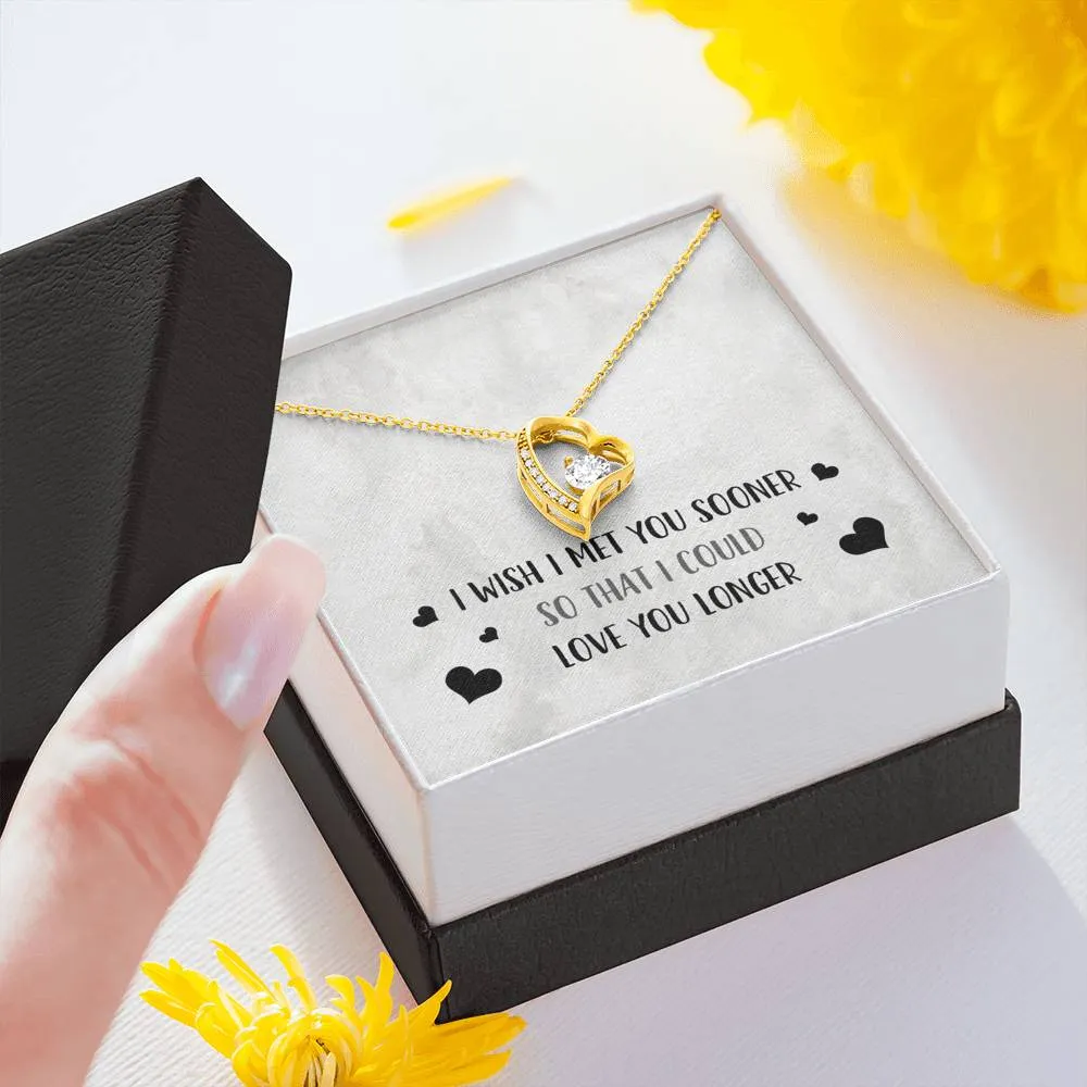 I Wish I Met You Sooner Heart and Cubic Necklace