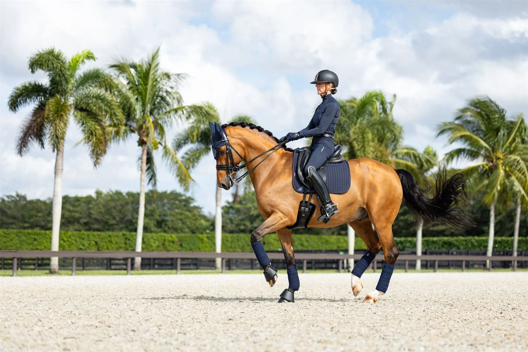LeMieux ProSorb Plain 2 Pocket Dressage Square
