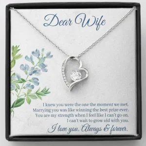 Marrying you was like winning the best prize-Sentimental Heart Necklace for Wife