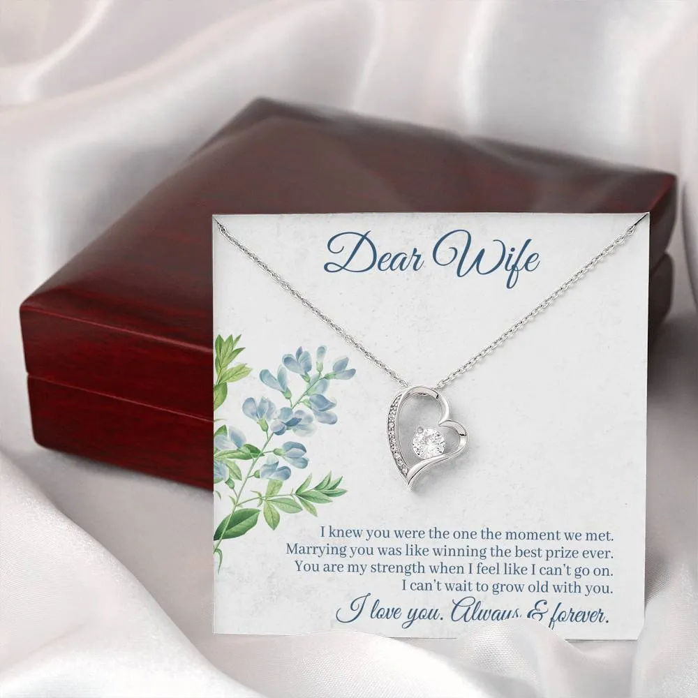 Marrying you was like winning the best prize-Sentimental Heart Necklace for Wife