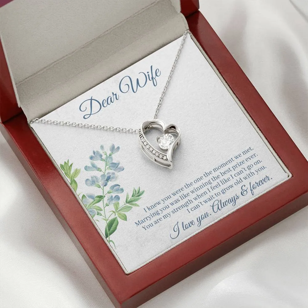 Marrying you was like winning the best prize-Sentimental Heart Necklace for Wife