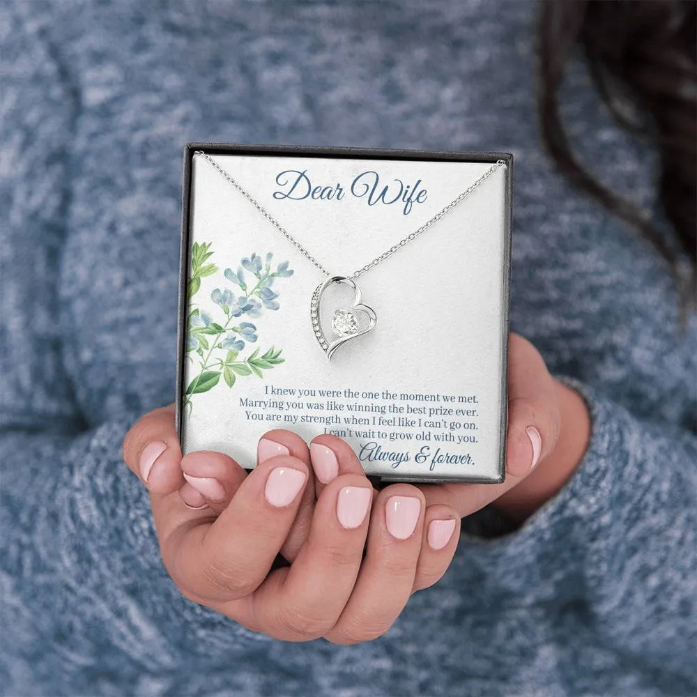 Marrying you was like winning the best prize-Sentimental Heart Necklace for Wife