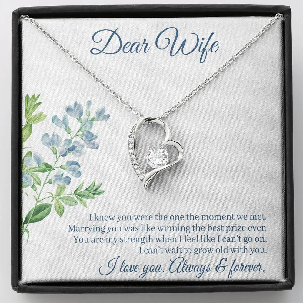 Marrying you was like winning the best prize-Sentimental Heart Necklace for Wife