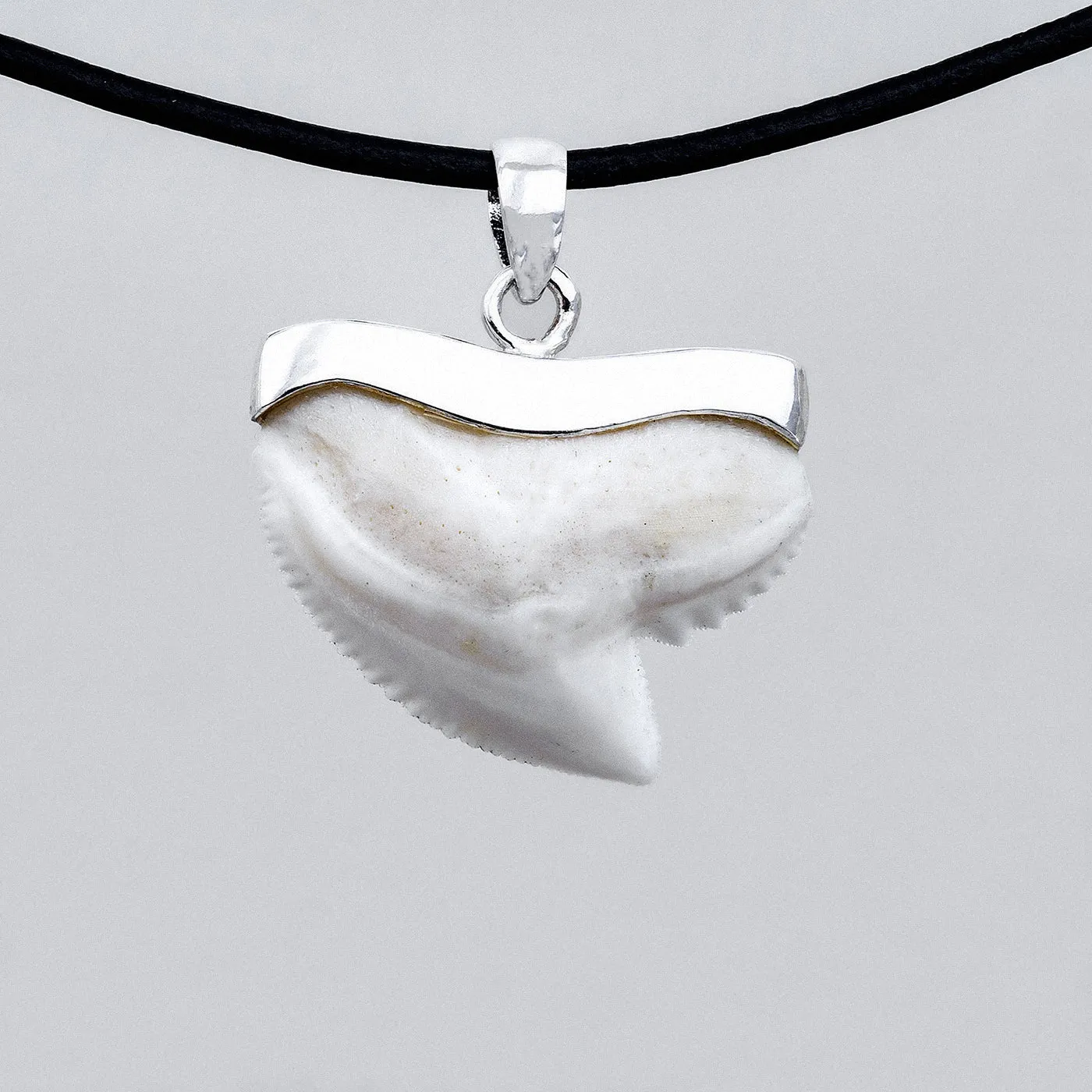 Silver Tiger Shark Tooth Necklace s19