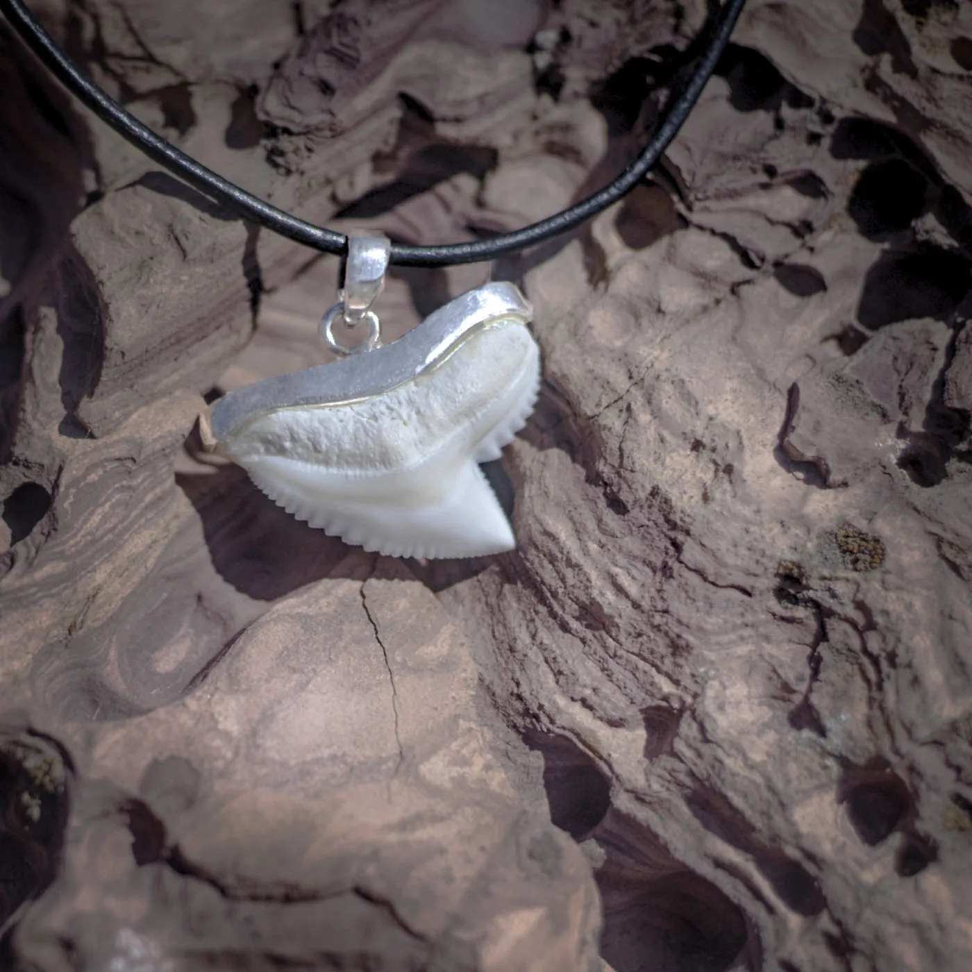 Silver Tiger Shark Tooth Necklace s19