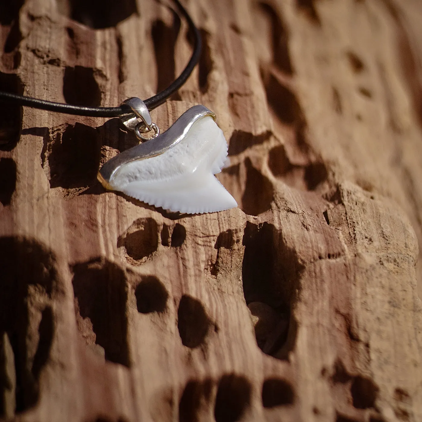 Silver Tiger Shark Tooth Necklace s19